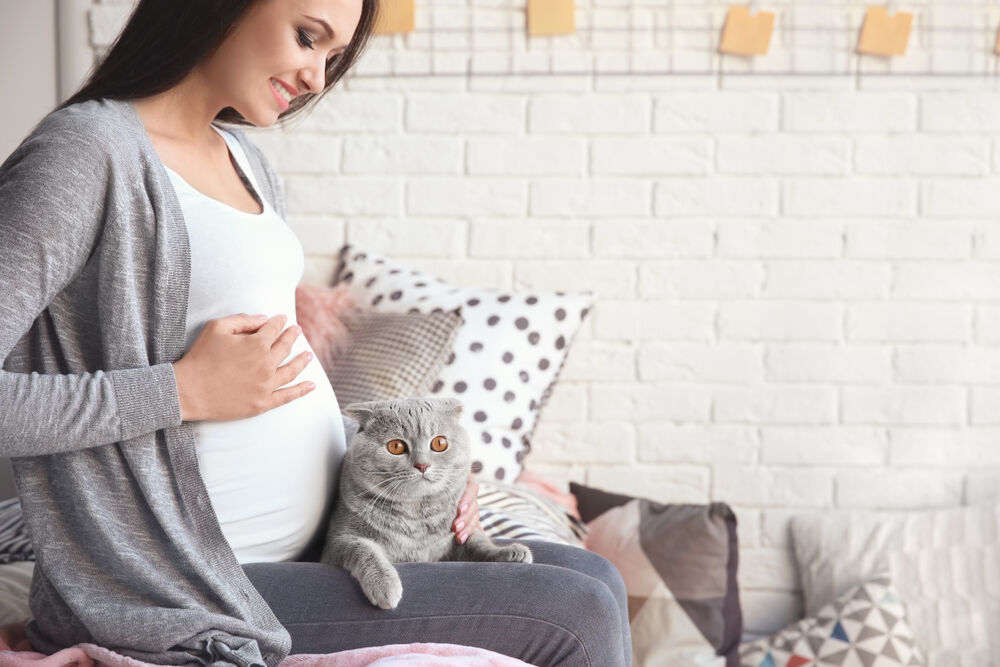 Do cats know store when your pregnant